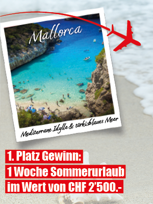 Dieses Bild zeigt den Gewinn von Platz 1