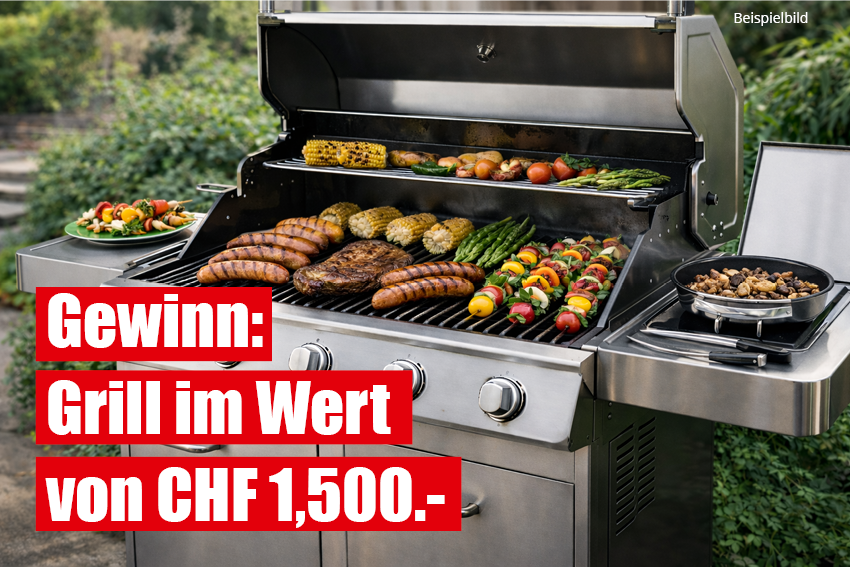 Dieses Bild zeigt den Gewinn von Platz 2